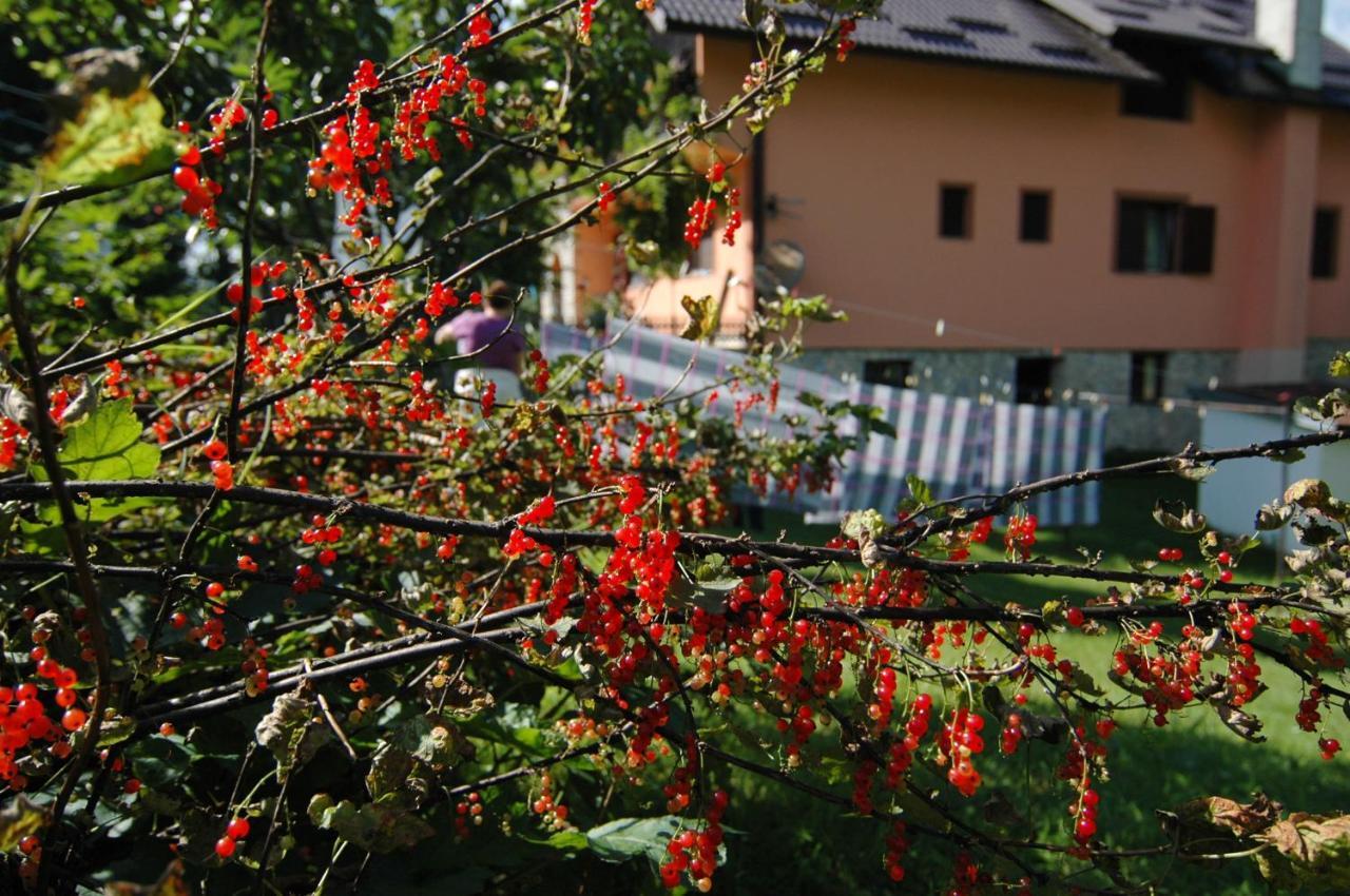 Plitvice Rooms Family Glumac Plitvicka Jezera Exterior photo